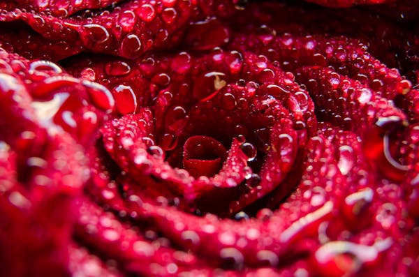 Die Farbe Rot